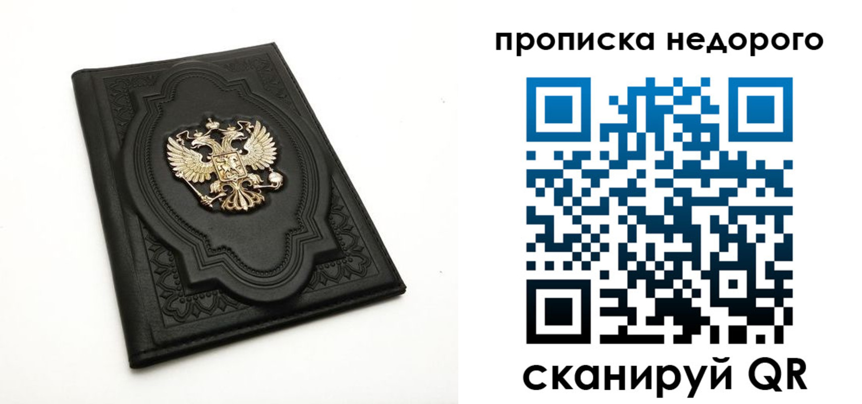прописка для школы в Куртамыше